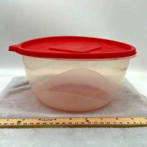 STARPLAST Made In Israel-1-37-305 Capacity 13cups Bowl with Red Push-on Lid